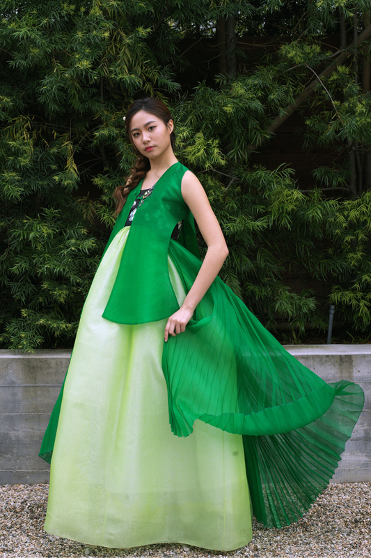 Modern Hanbok Dangui and Malgee Set